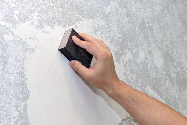 Best Real Estate Mold Inspection  in Taylor, PA