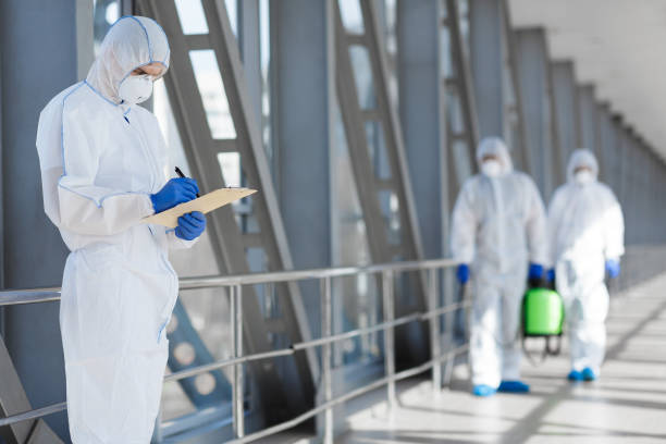 Best Water Damage & Mold Remediation  in Taylor, PA
