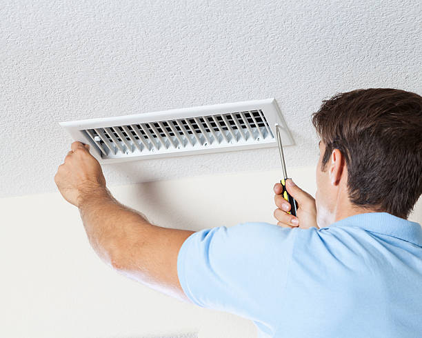 Best Forensic Mold Investigation  in Taylor, PA