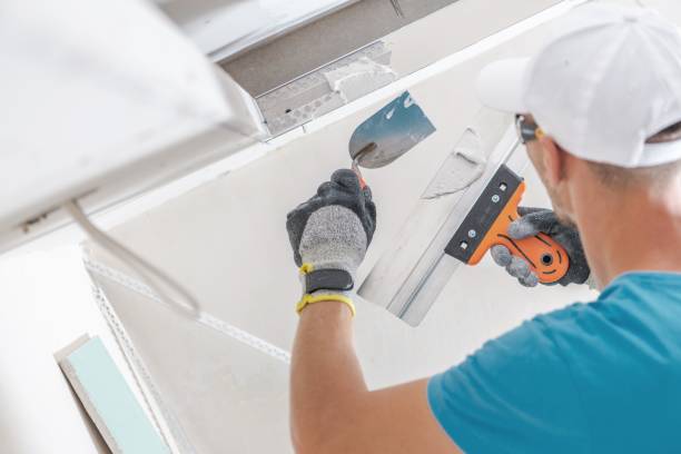 Best Environmental Consulting for Mold Prevention  in Taylor, PA